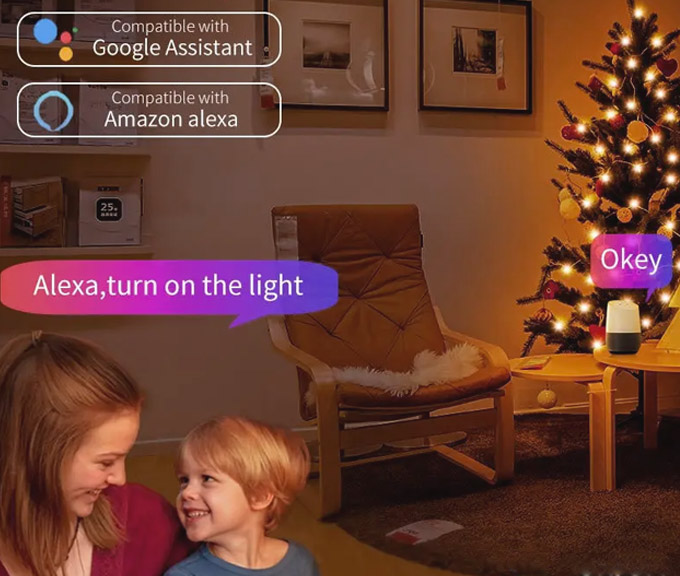 Alexa and Google Assistant wifi LED christmas decoration